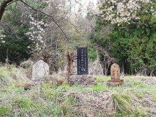 画像に含まれている可能性があるもの:木、屋外